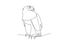 Easy Eagle Outline in One Line: Practice Drawing Strong Bird Forms for All Levels
