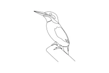 Simple One Line Kingfisher Sketch: A Fun Way to Learn Bird Drawing Basics
