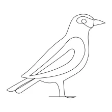 Simple One Line Bird Drawing: Learn Basic Art Skills with Easy and Clear Shapes