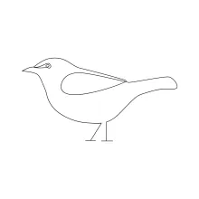 Learn to Draw a Bird with One Line: Easy Technique for Building Drawing Confidence