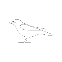 One Line Drawing of a Small Bird: A Beginner-Friendly Guide to Animal Line Art