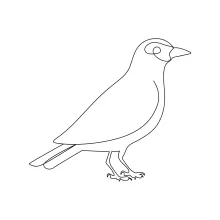 "Simple One Line Bird Art: Easy Minimalist Drawing for All Skill Levels"