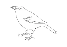 Draw a Bird with One Line: Easy Practice for Building Drawing Confidence