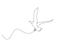 One Line Flying Bird Drawing: Practice Wings and Movement in Simple Animal Art