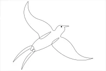 One Line Drawing of a Cute Bird: Practice Simple Art That Builds Shape Memory