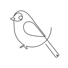 "Minimalist Sparrow Drawing: A One Line Study of Small Bird Shapes"