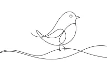 One Line Birds Drawing: Simple Art for Practicing Different Bird Shapes