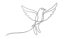 "One Line Flying Dove Sketch: A Minimalist Study of Movement and Freedom"