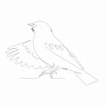 "Simple One Line Bird Art: A Minimalist Approach to Universal Animal Forms"