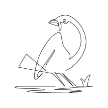 "Minimalist Simple Bird Drawing: A One Line Study in Clarity and Shape"