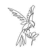 Abstract Bird One Line Drawing: Fun Creative Practice for Learning Shapes in Animal Art