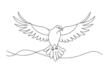 Flying Bird of Prey Drawing: Learn Wing Position and Animal Shape in One Line