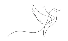 Freedom Bird Drawing in One Line: Explore Calm Shapes with Easy Artistic Expression