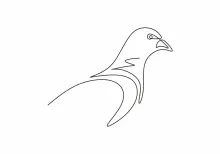 "Minimalist One Line Pigeon Drawing: A Practical Approach for Urban Wildlife Art"