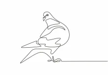 "One Line Pigeon Drawing: A Simple and Recognizable Urban Wildlife Sketch"