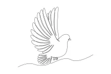 One-Line Flying Dove Drawing: Discover Shape and Peace Symbolism in Simple Art
