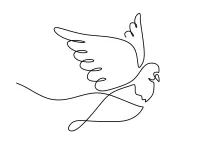 One-Line Pigeon Drawing: Draw Everyday Birds and Improve Shape Recognition