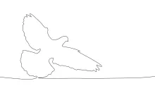 "One-Line Dove Drawing: A Minimalist Approach to Symbolizing Peace"