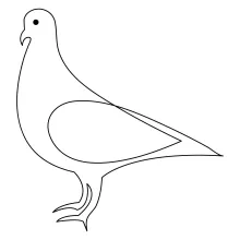 "One-Line Pet Pigeon Drawing: A Minimalist Approach to Capturing an Urban Companion"