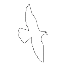 "Minimalist One-Line Pet Pigeon Drawing: Capturing a Gentle Bird in Simple Art"