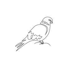 "Minimalist Dove Drawing: A One Line Approach to Peaceful Bird Art"