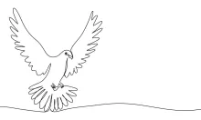 "Single-Line Dove Art: A Straightforward Way to Illustrate Graceful Bird Forms"