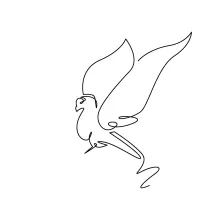 "One Line Simple Pigeon Art: A Minimalist Approach to Everyday Animal Forms"