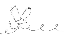 "Minimalist Flying Dove Sketch: A One Line Approach to Capturing Motion and Grace"