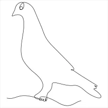 "Minimalist Pigeon Sketch: A One Line Study of Compact and Recognizable Forms"