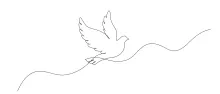 Peace Dove Drawing in One Line: Easy Bird Sketching to Express Calm and Freedom