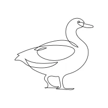 Super Simple One Line Duck Drawing for Kids and Beginners Learning Animal Shapes