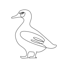 Easy One Line Duck Drawing to Introduce Kids to Animal Art Basics