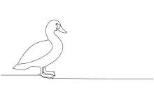 Easy Duck Drawing with One Line: A Simple Way to Learn Animal Shapes