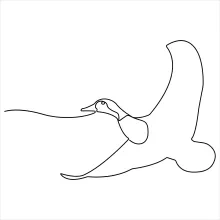 "Minimalist Pet Duck Drawing: A One Line Study of Friendly and Recognizable Forms"
