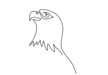 Bold Eagle in One Line: Easy Drawing Practice for Learning Bird Features