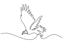 One Line Eagle Art Tutorial: Draw Majestic Birds with a Simple Technique
