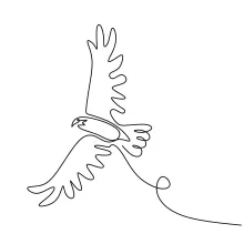 "Minimalist One Line Eagle Illustration: Capturing the Majesty of Flight"