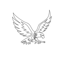 One Line Drawing of a Strong Eagle-Falcon: Learn Bold Bird Forms with Ease