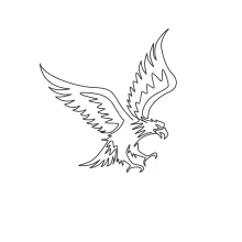 One Line Strong Hawk Drawing: Practice Drawing Fierce Birds with Simple Lines