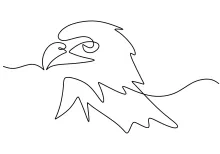 One-Line Eagle Head Drawing: Practice Strong Bird Features in a Simple Way