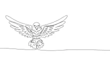 One-Line Eagle Drawing: Explore Strong Bird Features with Simple Lines