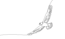 "Minimalist One-Line Eagle Drawing: Capturing a National Symbol in Simple Art"