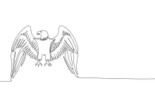 "One-Line Eagle Drawing: A Minimalist Study of a Majestic Bird at Rest"