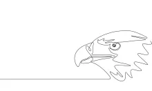 "One-Line Eagle Head Drawing: A Minimalist Study of Power and Focus"