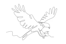 One-Line Flying Eagle Drawing for Beginners: Practice Motion and Shape with Ease