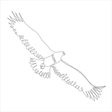 "One Line Soaring Eagle Art: A Minimalist Approach to Powerful Bird Forms"