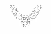 Strong Bald Eagle One Line Drawing: Study Powerful Bird Shapes with Simple Technique
