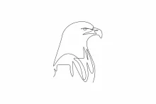 One Line Eagle Head Drawing: Learn Focused Animal Features with Strong Bird Form