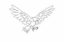 Bald Eagle Predator Drawing: Practice Sharp Bird Features in Simple One Line Art