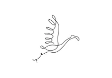 One Line Flamingo Drawing for Beginners: Simple Art to Learn Bird Shapes
